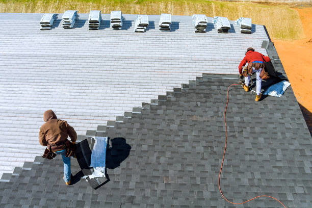Roof Gutter Cleaning in Liberty, NC